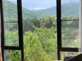 Harmony home Dilijan , entire home , дом целиком