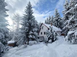Mountain Chalet - Cabana la Muntele Baisorii, Hotel in Muntele Cacovei