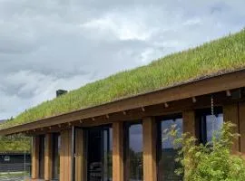 Modern Cabin With Panoramic Views In Stryn