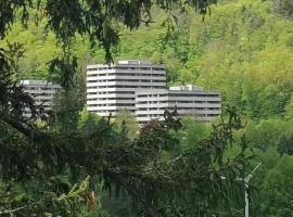 3 Zimmer Apartment Kostenfreien WLAN, hotel a Bad Harzburg