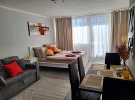 Bergzauber Bayerwald - Familienapartment mit Pool, hotel a Sankt Englmar