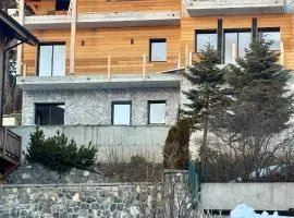 Luxury Chalet Valberg sauna jacuzzi gym- 1hour from Nice airport