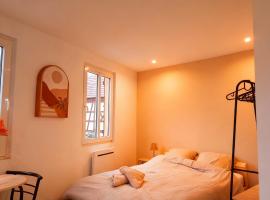 Studio proche Zénith & Strasbourg Centre, Hotel in Eckbolsheim
