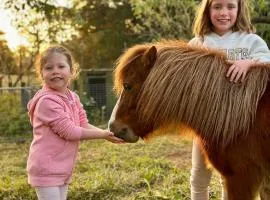 100 acres of mountain paradise all to yourself