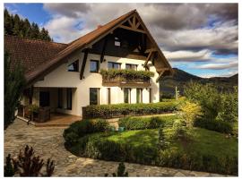 Pensiunea Drumul Plutasilor, struttura sulle piste da sci ad Alexandru cel Bun