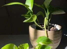 Grand Dilly Hotel - Beside Ben Thanh Market