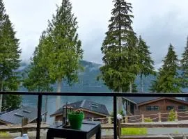 Tiltin Hilton- Ocean View - Pet Friendly - sleep 4