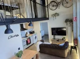 Impresionante apto Valencia de diseño lujo 4 px mascotas