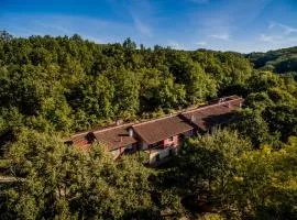 Apartamentos Casasturga