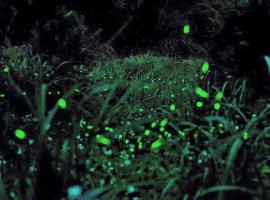 Natural Residence B&B, hotel rom&acirc;ntico em Tai'an