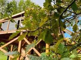 Domaine Ô Cabanes Câlines