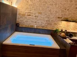 Loft architecte exceptionnel avec mini piscine design