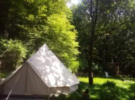 Tente Tipi en plein cœur d'une forêt
