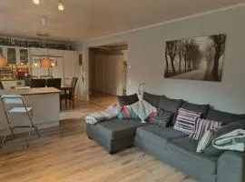 Villa Sinilepo, house no 3 - House in the middle of nature