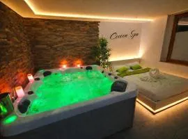 COCOON SPA-4 Pers-Jacuzzi-Parking-Jardin-Clim-Colmar