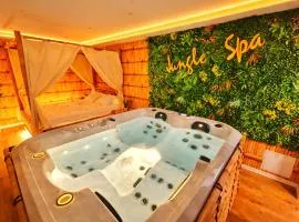 JUNGLE SPA-4 Pers-Jacuzzi-Parking-Jardin-Clim-Colmar