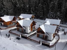 Snowwood Bakuriani, Hotel in Bakuriani