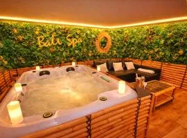 BALI SPA-4 Pers-Jacuzzi-Parking-Jardin-Clim-Colmar
