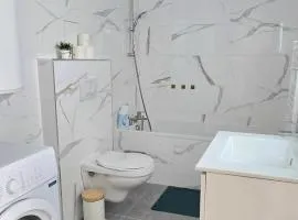 Le Freneusien, Wi-Fi parking