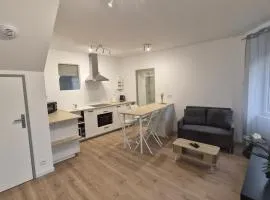 Appartement cosy neuf en plein centre