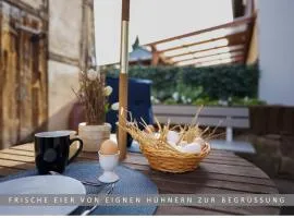 Apartment Leinetal mit Kamin & Kaminholz, 1-3 Personen , Schlafzimmer mit Boxspringbett 180x200 & hochwertige Hotelbettwäsche, bequemes Einzelbett im Wohnzimmer, Terrasse, Einbauküche,