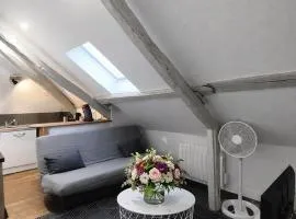 Charmant nid sous les combles – Centre & gare