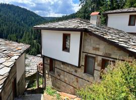 Къща за гости в село Проглед - комплекс Божидарица 4А, hotel di Progled