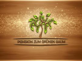 Viesnīca Europa Pension zum Grünen Baum Rustā