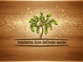 بنسيون أوروبا زوم غرونين باوم