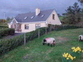 Wooly Lodge