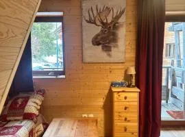 Duplex 4 pers les Balcons du Recoin