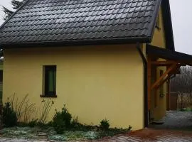Tebonia