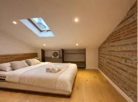 Cocon Mansardé - Velux et Clim - Hyper Centre