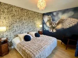 Chouette et Hibou 30 pers 2 gîtes jacuzzi, billard