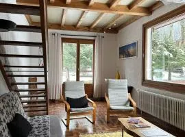 Les Carlines des Bossons - Jardin & Panorama