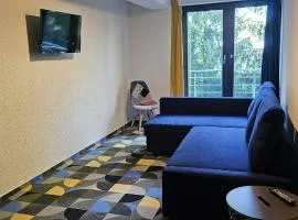 Cabana Valea Lupilor