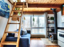 Le Tiny loft ski in ski out، مكان إقامة مع الخدمة الذاتية لإعداد الطعام في مونت تريمبلانت