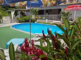 Charmant studio avec vue jardin à Morne-à-l'Eau, 30 m²