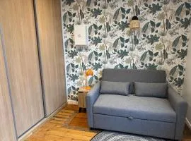 Charmant T2 vue sur la cathédrale d'Amiens