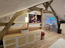 Studio cosy centre historique