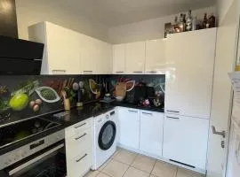 Modern & Elegant 2-Room Apartment