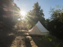 Cozy Bell Tent in Palomar Mountains