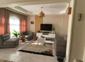 swiss hotel cairo dawntown