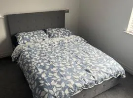 Cozy Room in shared flat 25 minutes away from the city centre