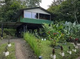 Tropical Quiet Retreat