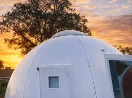 Iglu Octopus con vista a las estrellas