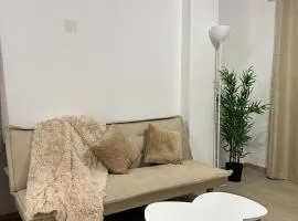 Departamento de un solo ambiente