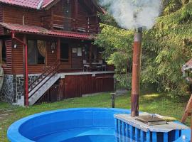 Casa Arion, Hotel in Arieşeni