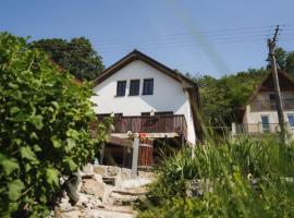 Penzion Šedivý, hotel a Strachotín