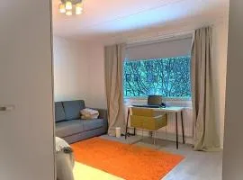 MAININKI Modern spacious studio with sleeping alcove near the metro